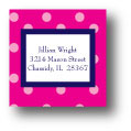 Polka Dot Pear Design - Small Square Stickers (210ss)