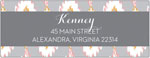 Dabney Lee Personalized Return Address Labels - Mirage