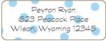 Donovan Designs - Personalized Return Address Labels (Powder Polka Dot)