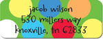 Inkwell Address Labels - Blond Boy