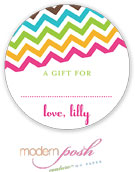 Modern Posh Gift Stickers - Chevron - Pink & Green #2