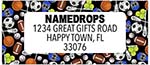 Address Labels by Namedrops - Assorted Sports