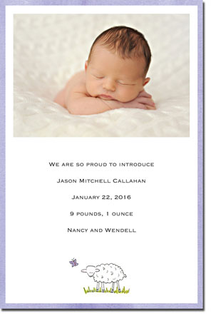 Blue Mug Designs Birth Announcements - Sheep Photo Blue Mug Designs Birth Announcements - Sheep Photo