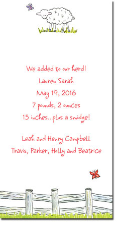 Blue Mug Designs Birth Announcements - Baby Sheep Blue Mug Designs Birth Announcements - Baby Sheep