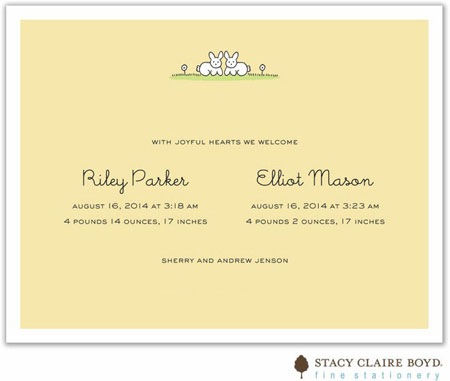 Stacy Claire Boyd Birth Announcement - Sweet Bunnies