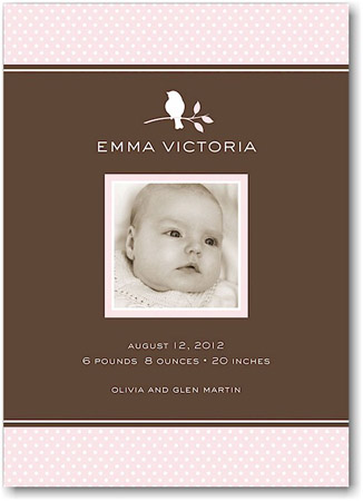 Stacy Claire Boyd Birth Announcement - Bird Silhouette-Pink (Digital Photo)