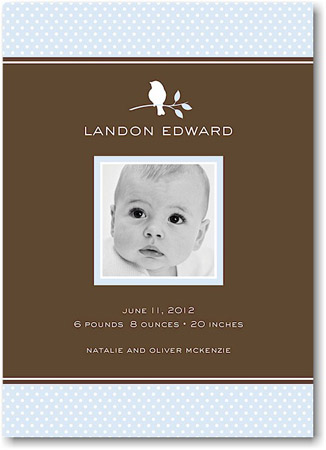 Stacy Claire Boyd Birth Announcement - Bird Silhouette-Blue (Digital Photo) Stacy Claire Boyd Birth Announcement - Bird Silhouette-Blue (Digital Photo)