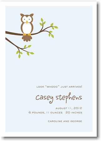 Stacy Claire Boyd Birth Announcement - Mr. Owl