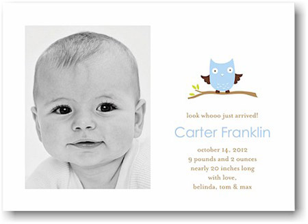 Stacy Claire Boyd Birth Announcement - Baby Owl Blue (Digital Photo) Stacy Claire Boyd Birth Announcement - Baby Owl Blue (Digital Photo)