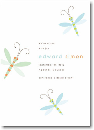 Stacy Claire Boyd Birth Announcement - A Buzz With Joy