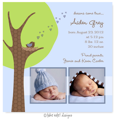 Take Note Designs Digital Photo Birth Announcements - Aiden Grey