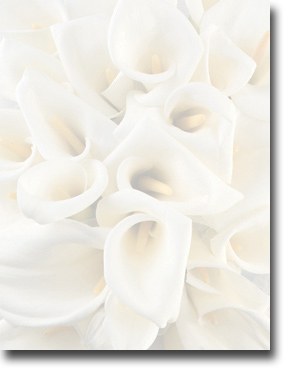 Imprintable Blank Stock - White Calla Lilies Letterhead by Masterpiece Studios
