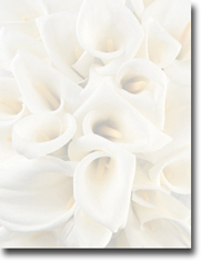 Imprintable Blank Stock - White Calla Lilies Letterhead by Masterpiece Studios