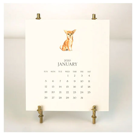 Stacy Claire Boyd - Customized Pet Calendar 2020 Desk Calendar & Easel Stacy Claire Boyd - Customized Pet Calendar 2020 Desk Calendar & Easel