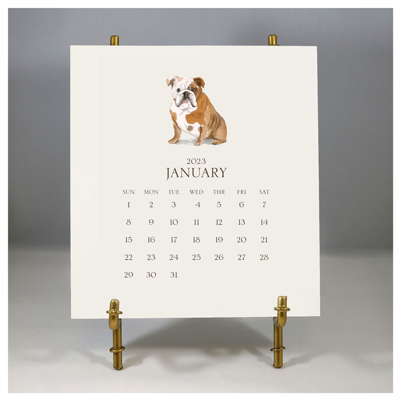 Stacy Claire Boyd - Customized Pet Calendar 2023 Desk Calendar & Easel:  More Than Paper