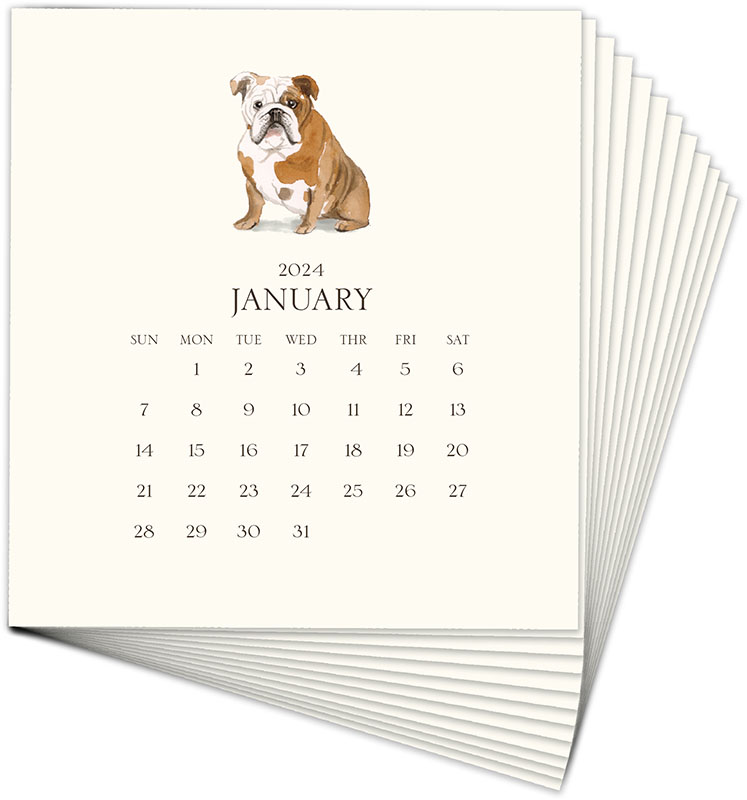Stacy Claire Boyd Customized Pet Calendar 2024 Desk Calendar & Easel