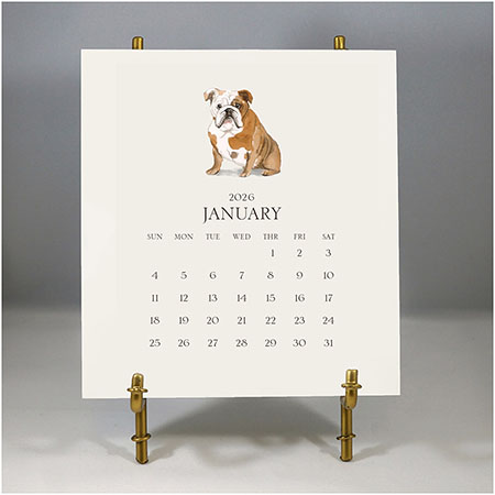 Customized Pet Calendar 2026 Desk Calendar & Easel by Stacy Claire Boyd Customized Pet Calendar 2026 Desk Calendar & Easel by Stacy Claire Boyd