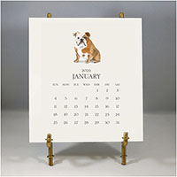 Customized Pet Calendar 2026 Desk Calendar & Easel by Stacy Claire Boyd