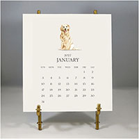 Customized Pet Calendar 2027 Desk Calendar & Easel by Stacy Claire Boyd