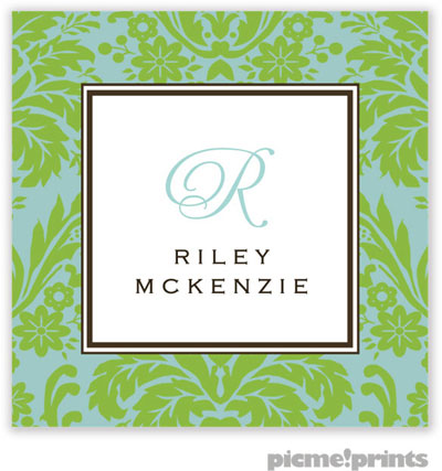 PicMe Prints - Calling Cards - Damask Lime on Robin's Egg (Folded)