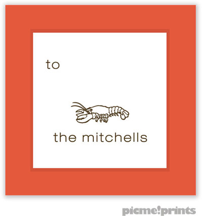 PicMe Prints - Calling Cards - Seaglass Coral (Folded)