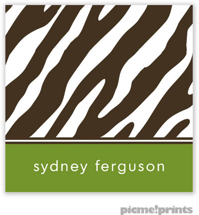 PicMe Prints - Calling Cards - Espresso Zebra Cilantro (Folded-No Motif)