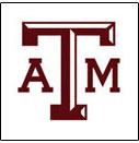 Texas A&M <br>College Logo Items