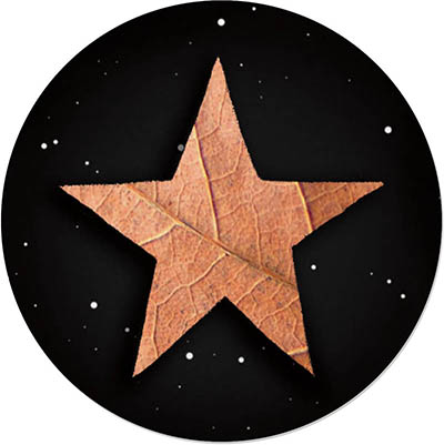 Envelope Seals by Carlson Craft (Real Greenery Treeline)