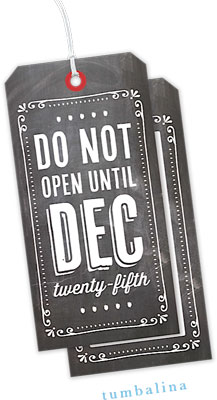 Hanging Gift Tags by Tumbalina - Do Not Open Hanging Gift Tags by Tumbalina - Do Not Open