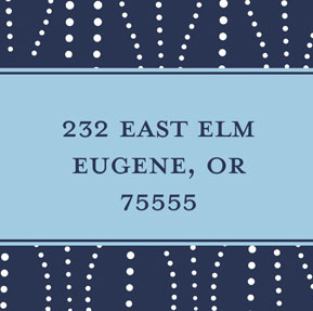 Take Note Designs - Address Labels (Festival of Lights Square - Holiday)