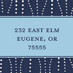 Take Note Designs - Address Labels (Festival of Lights Square - Holiday)