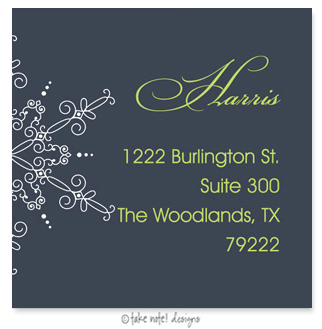 Take Note Designs - Address Labels (Large Snowflake on Blue - Holiday)