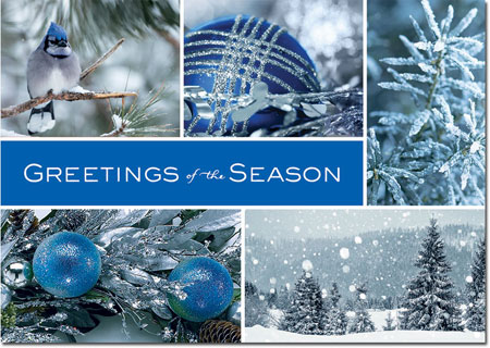 Holiday Greeting Cards by Birchcraft Studios - Icy Blue Wonder
