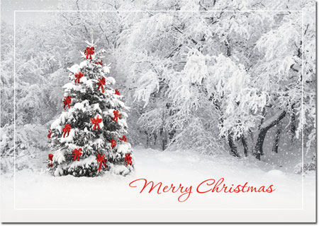 Holiday Greeting Cards by Birchcraft Studios - Secret Sighting