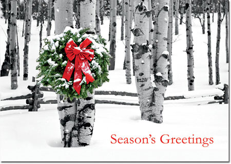 Holiday Greeting Cards by Birchcraft Studios - Birch Grove