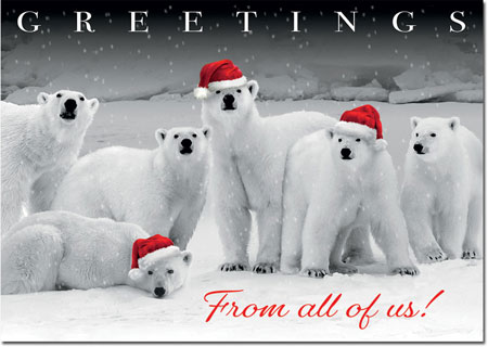 Holiday Greeting Cards by Birchcraft Studios - Polar Pack