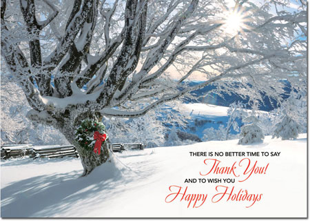 Holiday Greeting Cards by Birchcraft Studios - Striking Gratitude