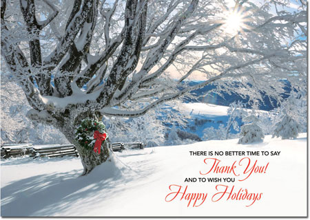 Holiday Greeting Cards by Birchcraft Studios - Striking Gratitude Holiday Greeting Cards by Birchcraft Studios - Striking Gratitude
