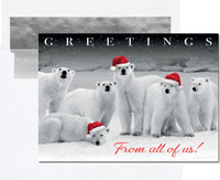 Holiday Greeting Cards by Birchcraft Studios - Polar Pack
