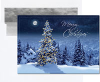Holiday Greeting Cards by Birchcraft Studios - Simply Stunning