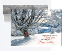 Holiday Greeting Cards by Birchcraft Studios - Striking Gratitude