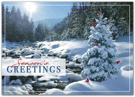 Holiday Greeting Cards by Birchcraft Studios - Sweet Seclusion