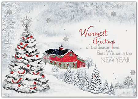 Holiday Greeting Cards by Birchcraft Studios - Settled In Holiday Greeting Cards by Birchcraft Studios - Settled In