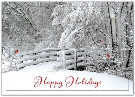 Holiday Greeting Cards by Birchcraft Studios - Fresh Air