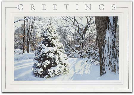 Holiday Greeting Cards by Birchcraft Studios - Hidden Treasure