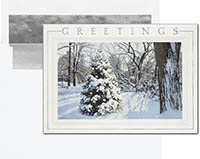 Holiday Greeting Cards by Birchcraft Studios - Hidden Treasure