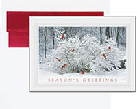 Holiday Greeting Cards by Birchcraft Studios - Winter Perch
