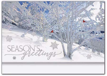Holiday Greeting Cards by Birchcraft Studios - Frosted Wonders Holiday Greeting Cards by Birchcraft Studios - Frosted Wonders