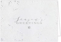 Holiday Greeting Cards by Carlson Craft - Shimmering Snowflake Greetings with Foil