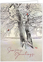 Holiday Greeting Cards by Carlson Craft - Winter Stillness